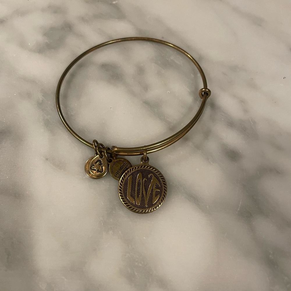 Alex and Ani Charm Bangle